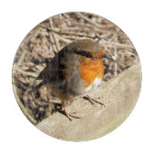 ROBIN SNIJPLANK (Voorkant)