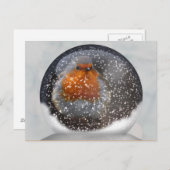 Robin Snowglobe Briefkaart (Voorkant / Achterkant)