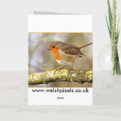 Robin Song Kaart (Achterkant)