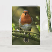 Robin Song Kaart (Voorkant)