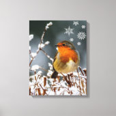 Robin Songbird met Snowflakes Canvas Print (Voorkant)