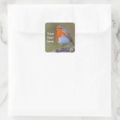 Robin Square Sticker (Tas)