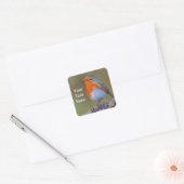 Robin Square Sticker (Envelop)