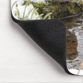 Robin Staring at its Reflection in Puddle Muismat (Hoek)