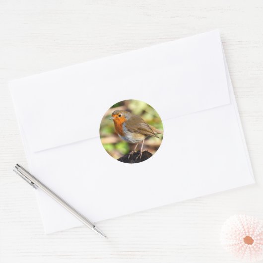 Robin Sticker (Envelop)