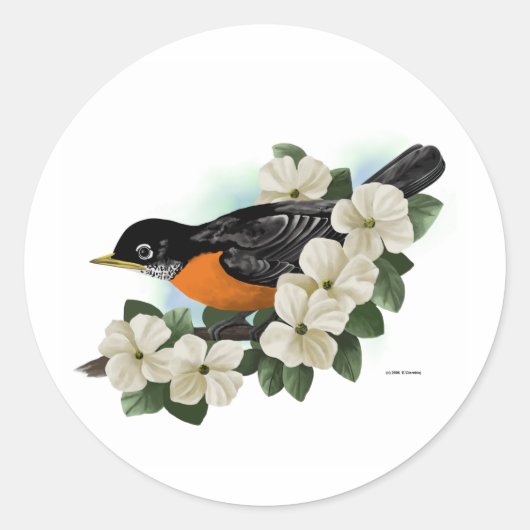 Robin Stickers (Voorkant)