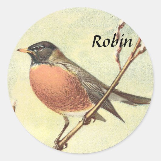 Robin Stickers (Voorkant)