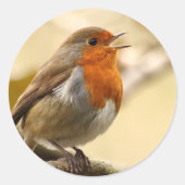 Robin Stickers (Voorkant)