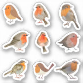 Robin Stickers (Voorkant)