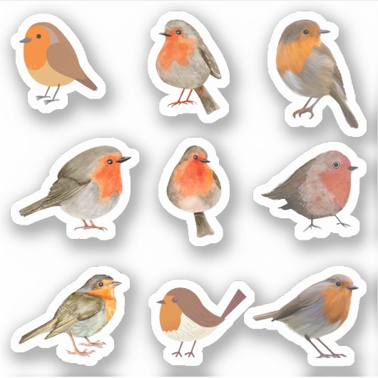 Robin Stickers (Voorkant)
