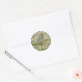 Robin Stickers (Envelop)