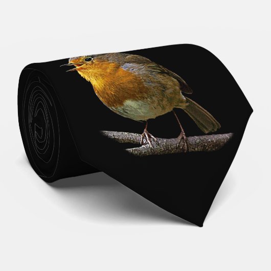 Robin Stropdas (Opgerold)