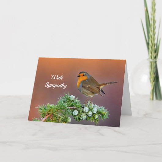 Robin Sympathy Card Kaart (Voorkant)