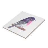 Robin Tegeltje (Zijkant)