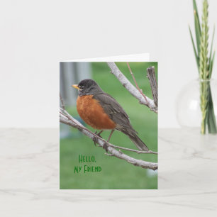 Robin, Thinkin" van u, juicht toe Kaart