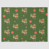 Robin Tissue Paper Tissuepapier (Voorkant)