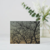 Robin Tree at Dawn beroemd gemaakt door Robin Aankondigingskaart (Staand voorkant)
