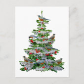 Robin Tree Briefkaart (Voorkant)