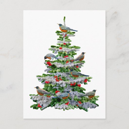 Robin Tree Briefkaart (Voorkant)