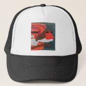 Robin Trucker Pet (Voorkant)