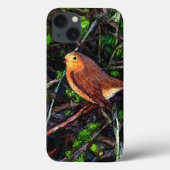 Robin Tweet tweet Case-Mate iPhone Case (Achterkant)