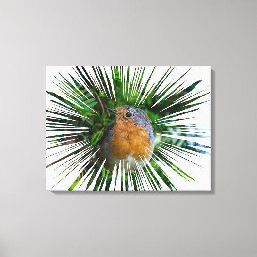 Robin up close canvas print (Voorkant)