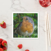 Robin up close servetten (Insitu)