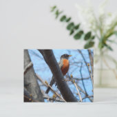 Robin van de Mystic River Briefkaart (Staand voorkant)