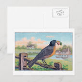  Robin Verjaardag Briefkaart (Voorkant / Achterkant)