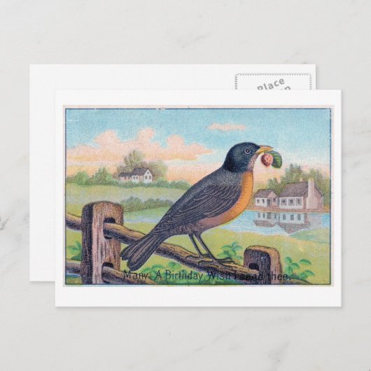  Robin Verjaardag Briefkaart (Voorkant / Achterkant)