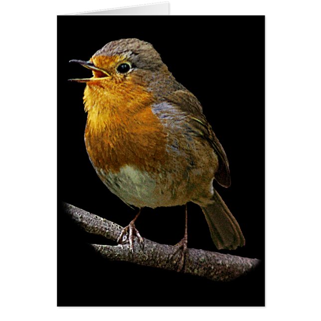 Robin Vertical Card (Voorkant)