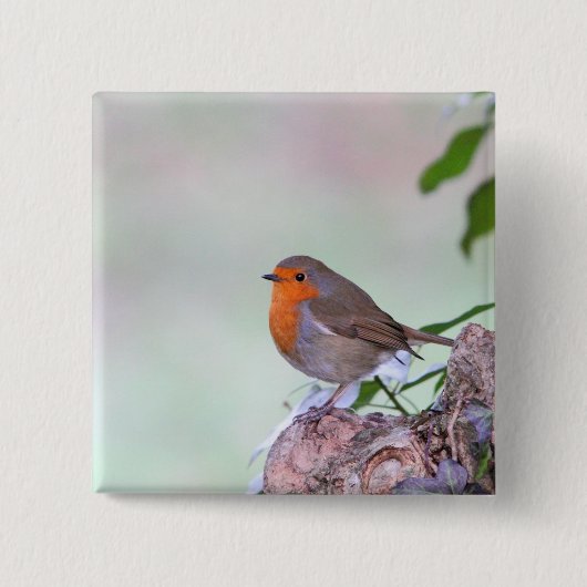 Robin Vierkante Button 5,1 Cm (Voorkant)