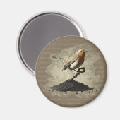 Robin vindt de sleutel, rond magneet (Voorkant / Achterkant)