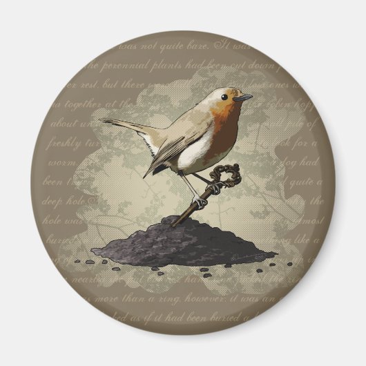 Robin vindt de sleutel, rond magneet (Voorkant)