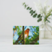 ROBIN VISITEKAARTJE (Staand voorkant)