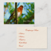 ROBIN VISITEKAARTJE (Voorkant / Achterkant)