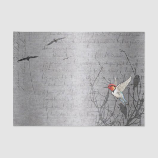 Robin vliegt tissuepapier (Voorkant)