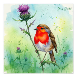 Robin Vogel en Distelbloem Botanische Aquarel Foto Afdruk
