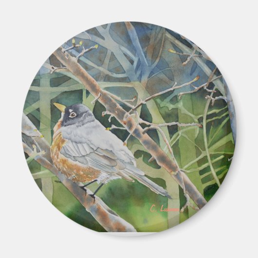 Robin-vogel in twijgen op een boom magneet (Voorkant)