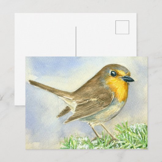 Robin vogel op een bevroren jeneverbes briefkaart (Voorkant / Achterkant)