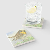 Robin vogel op een bevroren jeneverbes stenen onderzetter (Zijkant)