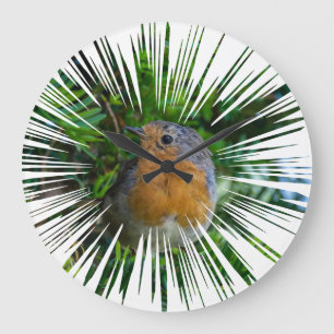 Robin Wall klok