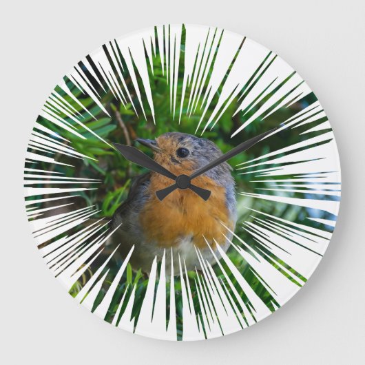 Robin Wall klok (Voorkant)