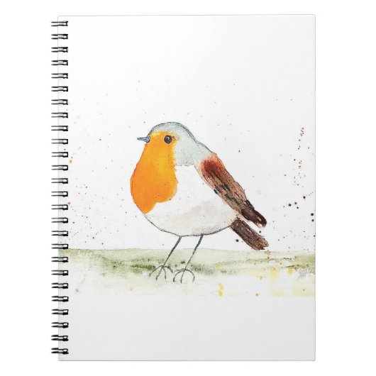 Robin waterverf notitieboek (Voorkant)