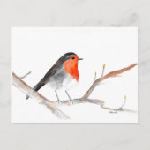 Robin waterverf schilderde kerstkunst feestdagenkaart (Voorkant)