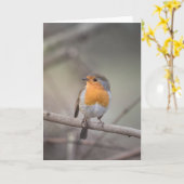 Robin Wildlife Foto Kaart (Gele Bloem)