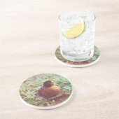 Robin Zandsteen Onderzetter (Zijkant)