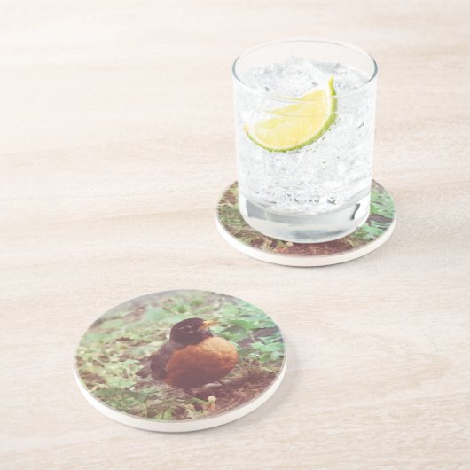 Robin Zandsteen Onderzetter (Zijkant)