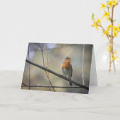 Robin zingen kaart (Gele Bloem)