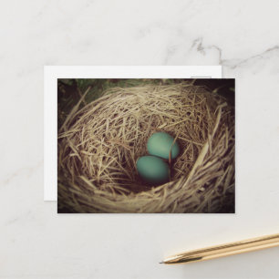 Robineieren in een nest briefkaart